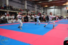 ABiRO-WCUP-13