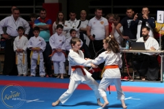 ABiRO-WCUP-130