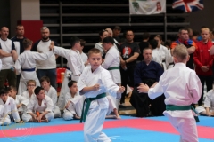 ABiRO-WCUP-132