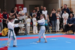 ABiRO-WCUP-135