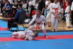 ABiRO-WCUP-136