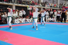 ABiRO-WCUP-14