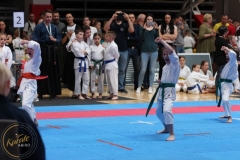 ABiRO-WCUP-141
