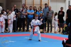 ABiRO-WCUP-144