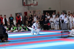 ABiRO-WCUP-153