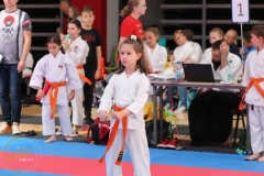 ABiRO-WCUP-159