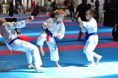 ABiRO-WCUP-16