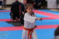 ABiRO-WCUP-162