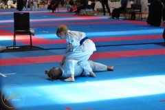 ABiRO-WCUP-17