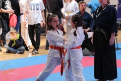 ABiRO-WCUP-171