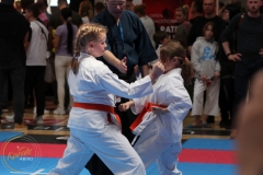 ABiRO-WCUP-178