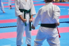 ABiRO-WCUP-33