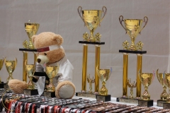 ABiRO-WCUP-54
