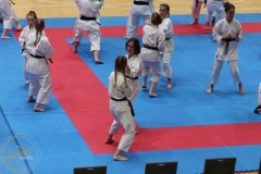 ABiRO-WCUP-63