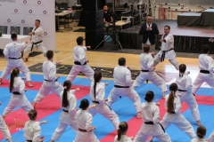 ABiRO-WCUP-65