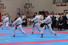 ABiRO-WCUP-71