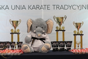 2022-06 Mistrzostwa Polski Polskiej Unii Karate Tradycyjnego