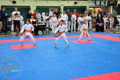 ABiRO-RCUP-II-004