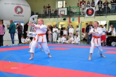 ABiRO-RCUP-II-010