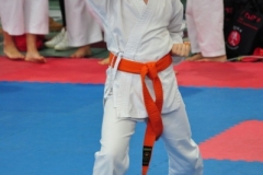 ABiRO-RCUP-II-022