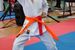ABiRO-RCUP-II-023