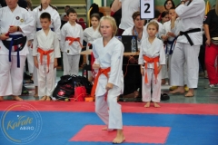 ABiRO-RCUP-II-029