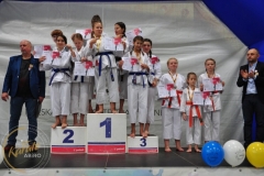 ABiRO-RCUP-II-056