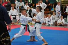 ABiRO-RCUP-II-064
