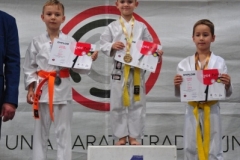 ABiRO-RCUP-II-066