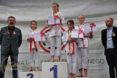 ABiRO-RCUP-II-069