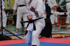ABiRO-RCUP-II-081