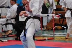 ABiRO-RCUP-II-084