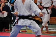 ABiRO-RCUP-II-085