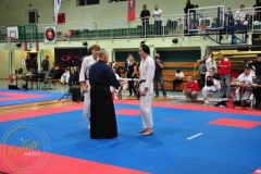 ABiRO-RCUP-II-088
