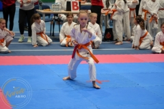 ABiRO-ResoviaCUP-013