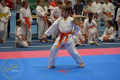 ABiRO-ResoviaCUP-016