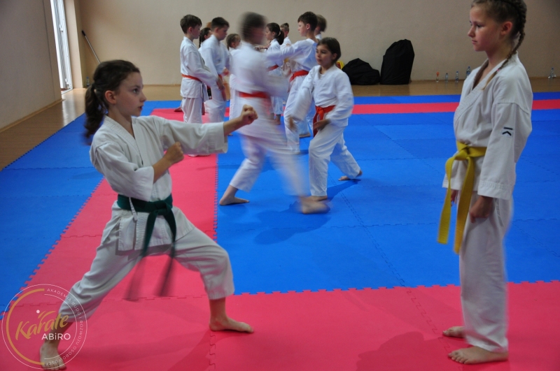 ABiRO-KarateCamp-537