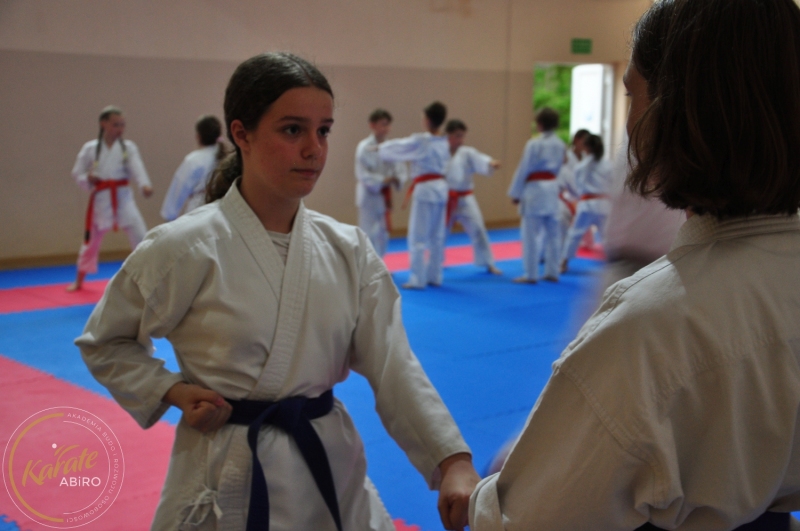 ABiRO-KarateCamp-540