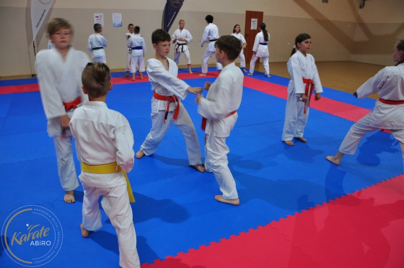 ABiRO-KarateCamp-546