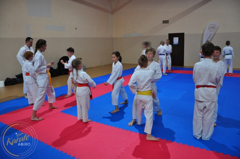 ABiRO-KarateCamp-548