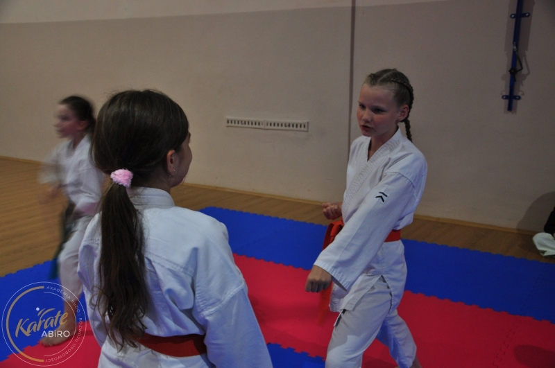 ABiRO-KarateCamp-557