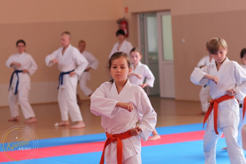 ABiRO-KarateCamp-629