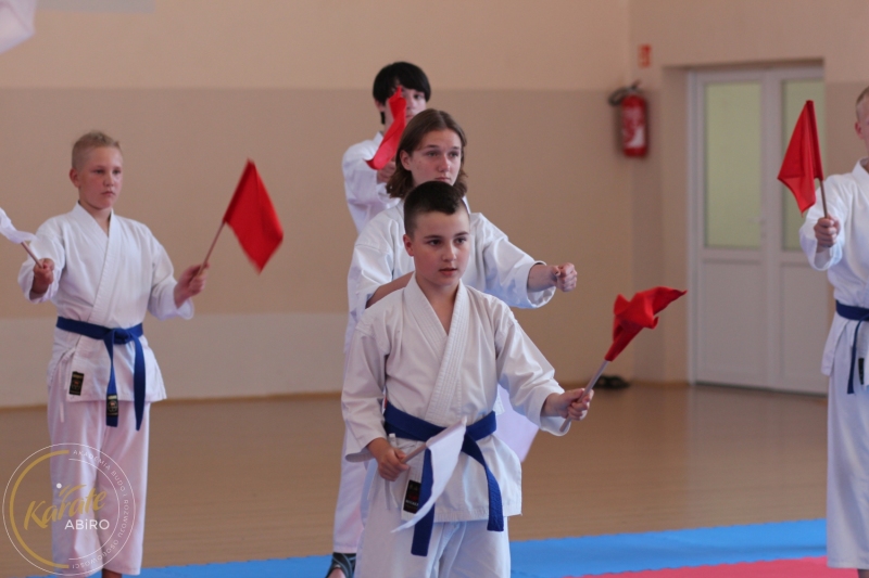 ABiRO-KarateCamp-741