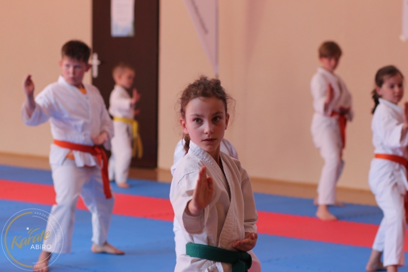 ABiRO-KarateCamp-833