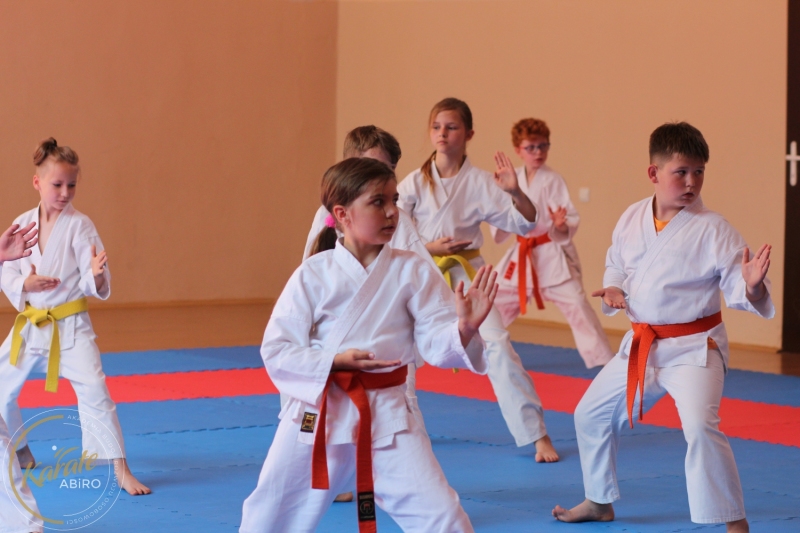 ABiRO-KarateCamp-834
