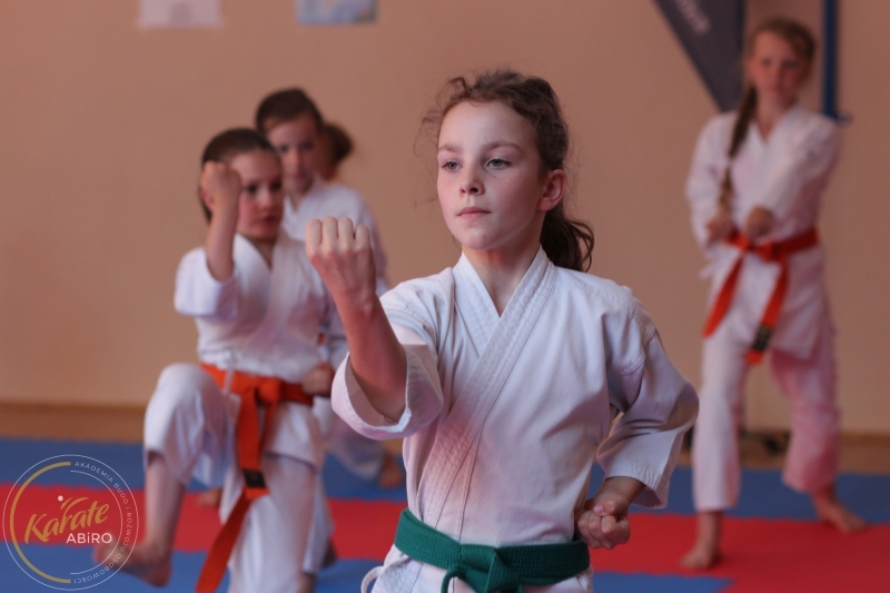 ABiRO-KarateCamp-835