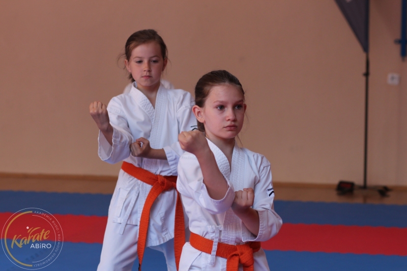 ABiRO-KarateCamp-836