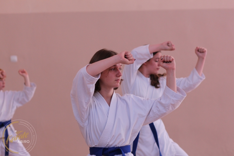 ABiRO-KarateCamp-838