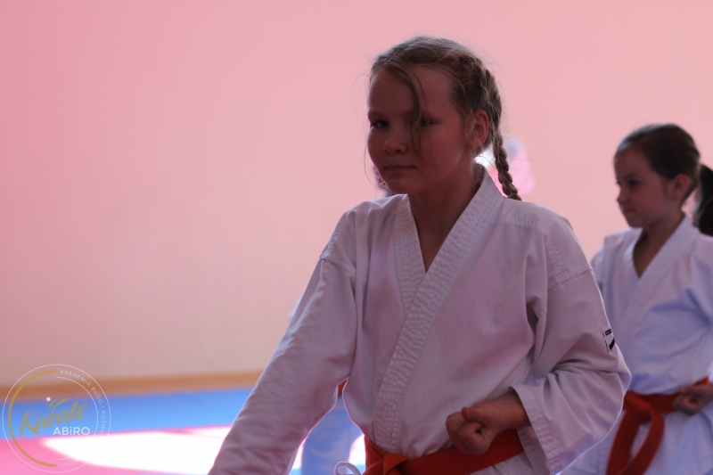 ABiRO-KarateCamp-841