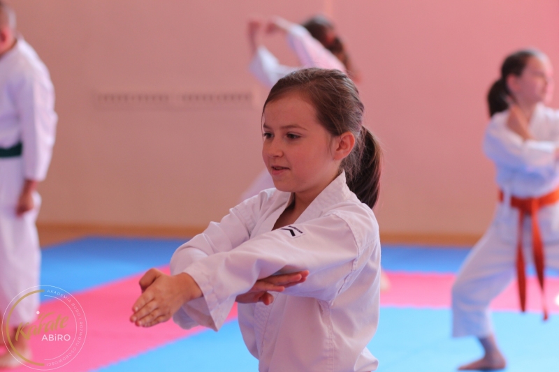 ABiRO-KarateCamp-844